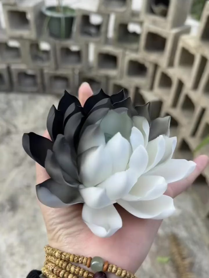 Ceramic Handmade Lotus
